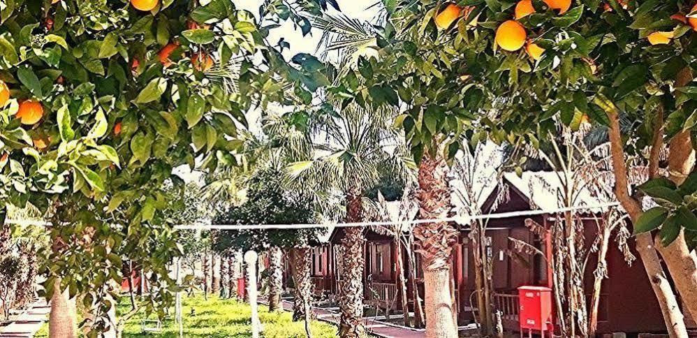 Dream Park Bungalow Titreyengol Exterior photo